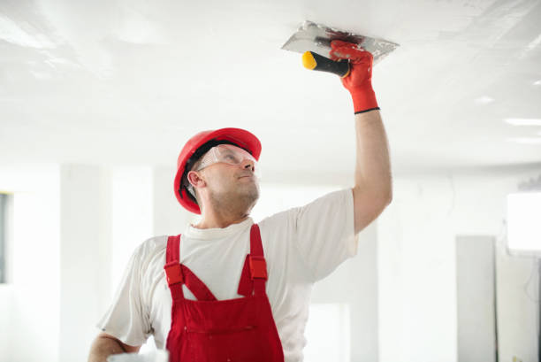 Best Ceiling Drywall Installation  in Hampton Beach, NH